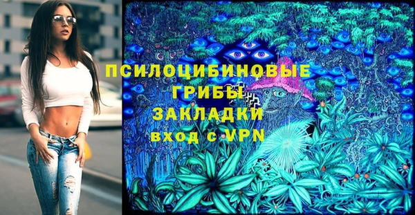 ГАЛЛЮЦИНОГЕННЫЕ ГРИБЫ Алзамай