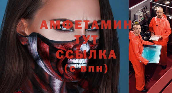 ГАЛЛЮЦИНОГЕННЫЕ ГРИБЫ Алзамай