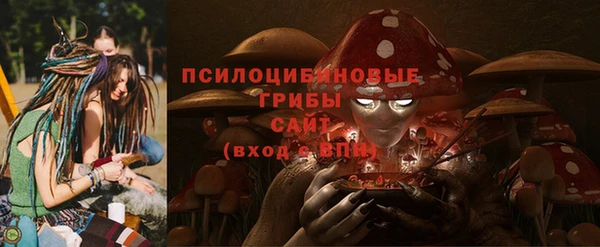 ГАЛЛЮЦИНОГЕННЫЕ ГРИБЫ Алзамай